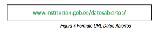 Figura 4: Formato URL de datos abiertos - (c) Secretaría Nacional de la Administración Pública de Ecuador 